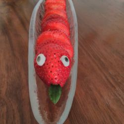 rot_raupe_1.jpg