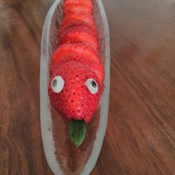 rot_raupe_1.jpg